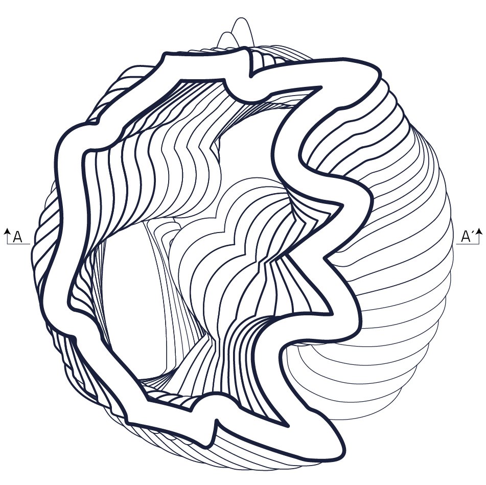 Graficos Portfolio_JPG-06